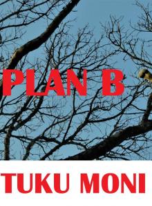 Plan B