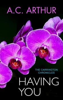 Having You Having You