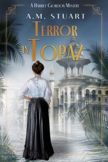Terror In Topaz Terror In Topaz