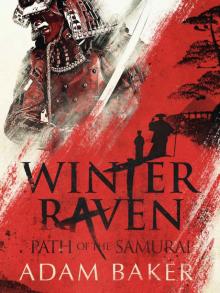 Winter Raven Winter Raven