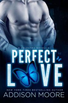 Perfect Love Perfect Love