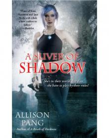 A Sliver of Shadow