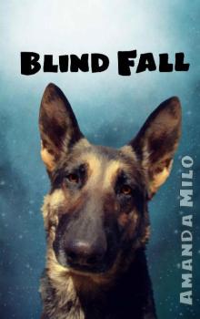 Blind Fall