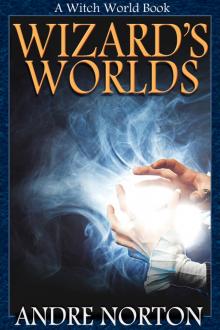 Wizards’ Worlds Wizards’ Worlds