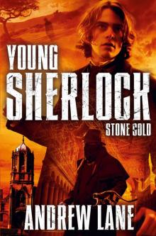 Stone Cold Stone Cold