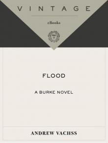 Flood