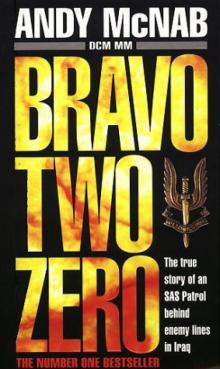 Bravo two zero Bravo two zero