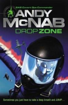 DropZone DropZone