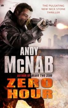 NS13 Zero Hour (2010)