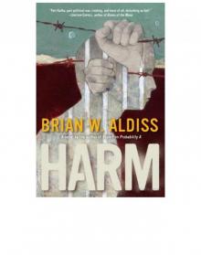 Brian W. Aldiss - HARM