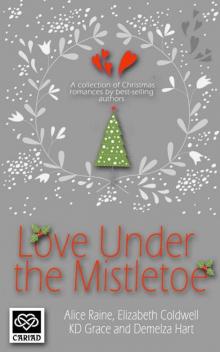 Love Under the Mistletoe