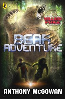 Bear Adventure Bear Adventure