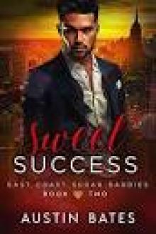 Sweet Success (East Coast Sugar Daddies Book 2)