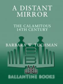 A Distant Mirror