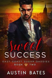 Sweet Success: East Coast Sugar Daddies: Book 2