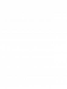 Policeman's Progress Policeman's Progress