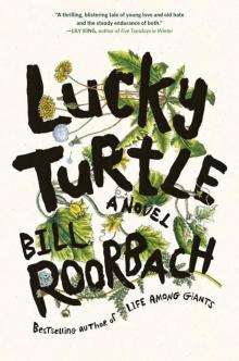 Lucky Turtle Lucky Turtle
