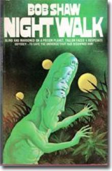 Night Walk Night Walk