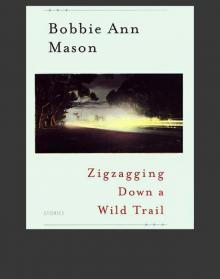 Zigzagging Down a Wild Trail