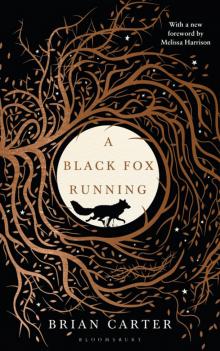 A Black Fox Running A Black Fox Running