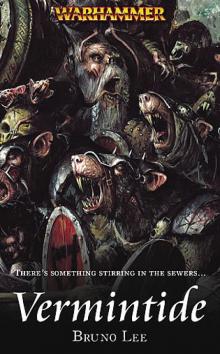 Warhammer - Vermintide