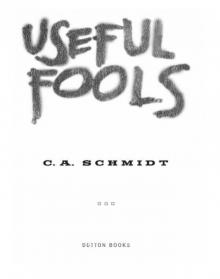 Useful Fools Useful Fools