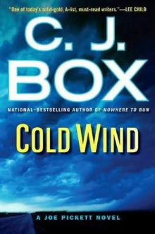 Cold Wind jp-11 Cold Wind jp-11