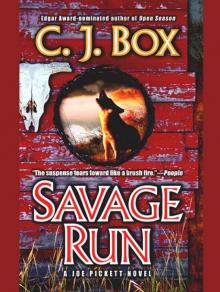 Savage Run jp-2 Savage Run jp-2