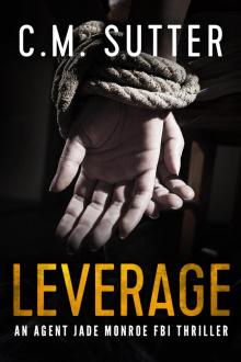 Leverage Leverage