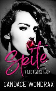 Spite: A Bully Reverse Harem Spite: A Bully Reverse Harem