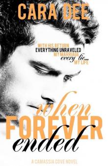 When Forever Ended When Forever Ended
