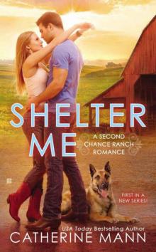 Shelter Me Shelter Me