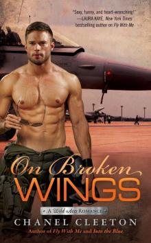 On Broken Wings On Broken Wings