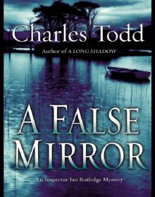 A False Mirror A False Mirror