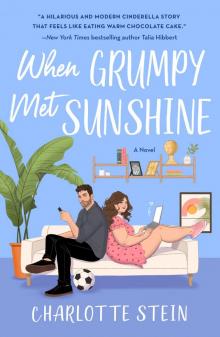 When Grumpy Met Sunshine When Grumpy Met Sunshine