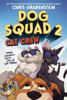 Cat Crew