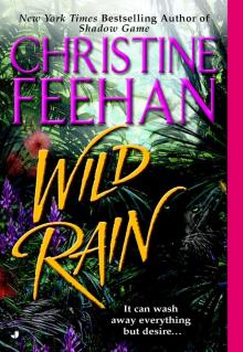 Wild Rain Wild Rain