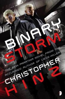 Binary Storm Binary Storm