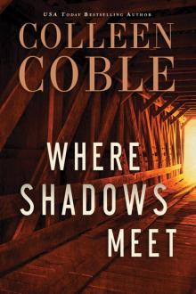 Where Shadows Meet Where Shadows Meet