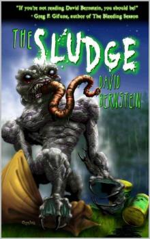 The Sludge The Sludge