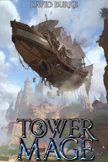 Tower Mage 3: A LitRPG Isekai Fantasy