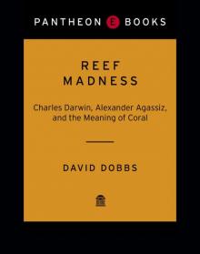 Reef Madness
