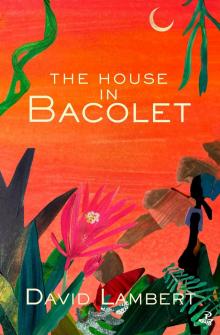 The House in Bacolet The House in Bacolet