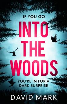 Into the Woods Into the Woods