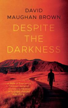 Despite the Darkness
