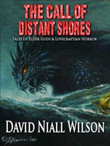 The Call of Distant Shores The Call of Distant Shores