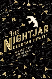 The Nightjar The Nightjar