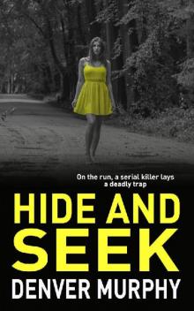 Hide and Seek Hide and Seek