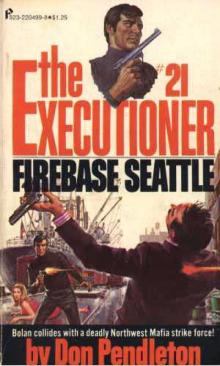 Firebase Seattle te-21 Firebase Seattle te-21