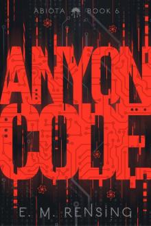 Anyon Code Anyon Code